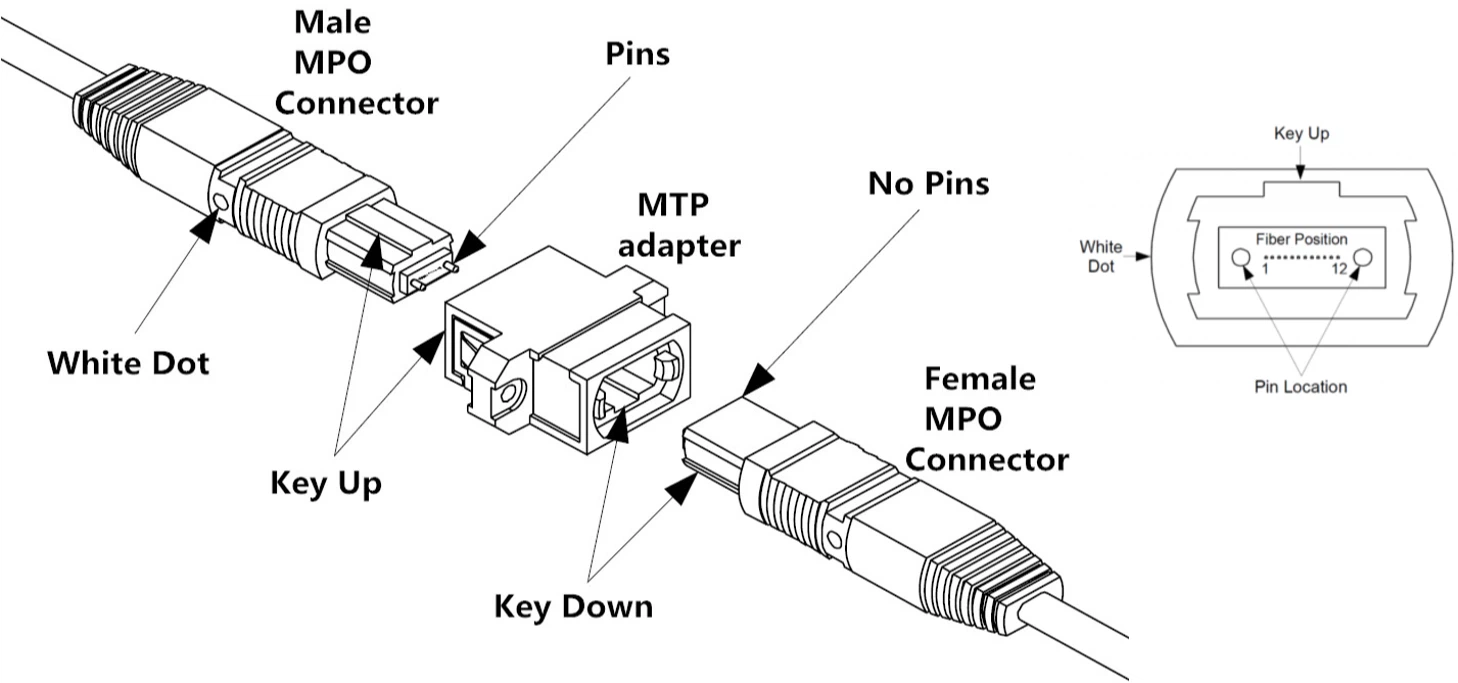 info-1458-683 info-1458-683